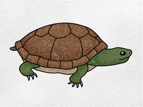 turtle images drawing|Turtle Drawing Images .